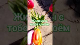 Юра Шатунов/Не Плачь/🌹🌹🌹🌹🌹🌹🌹10.03.24Г.❤️❤️❤️💥🌍