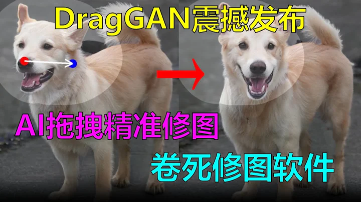 【DragGAN】AI拖拽精准修图 快准狠 卷死修图软件