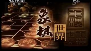 象棋世界：老梁看象20130525