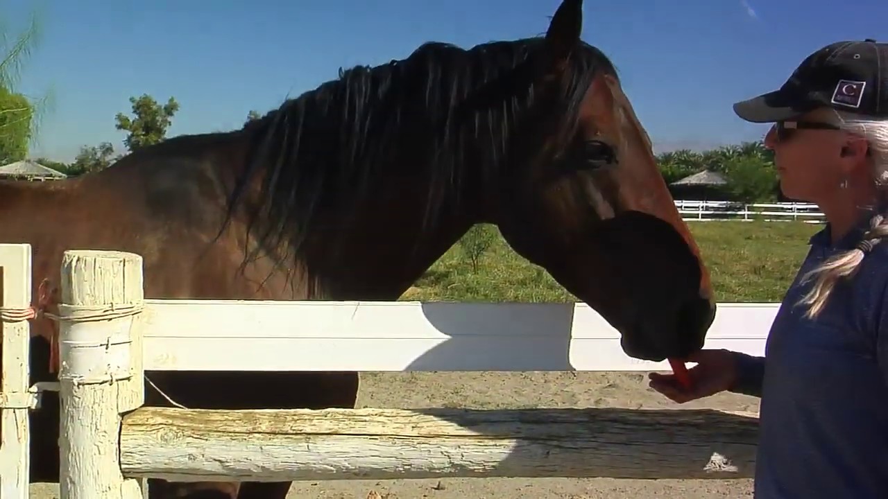 Horse Farm in Thermal, CA.  SOLD!