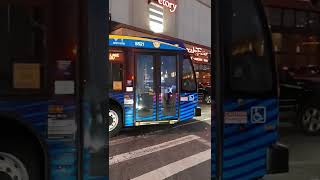 2019 Nova Bus LFS #8521 on the Q88