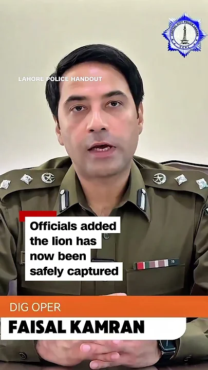 Pet lion escapes and attacks woman and her children