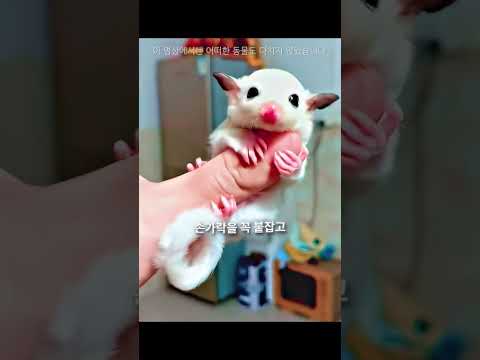 이 남자가 발견한 분홍색 작은 동물 😳 thumbnail