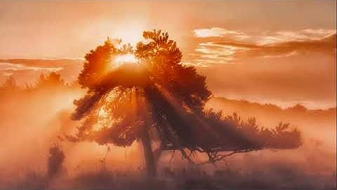 تلاوة خاشعة جدا من سورة الرحمن بصوت رااائع للقارئ احمد العبيد