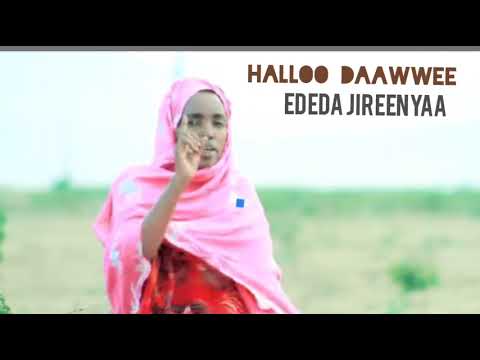 Halloo Daawwee Ededa Jireenyaa New Afaan oromoo Etopian music16 October 2023