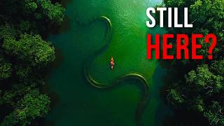 Could Giant Anacondas Still Be Hiding in the Amazon?