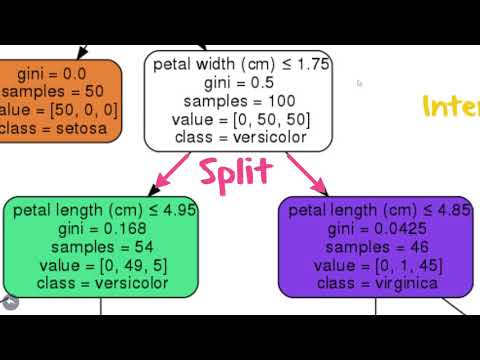 Decision Trees - עצי החלטה