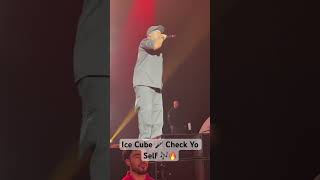 Ice Cube Check Yo Self - Live