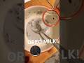 Oreo Milk #oreo#milk