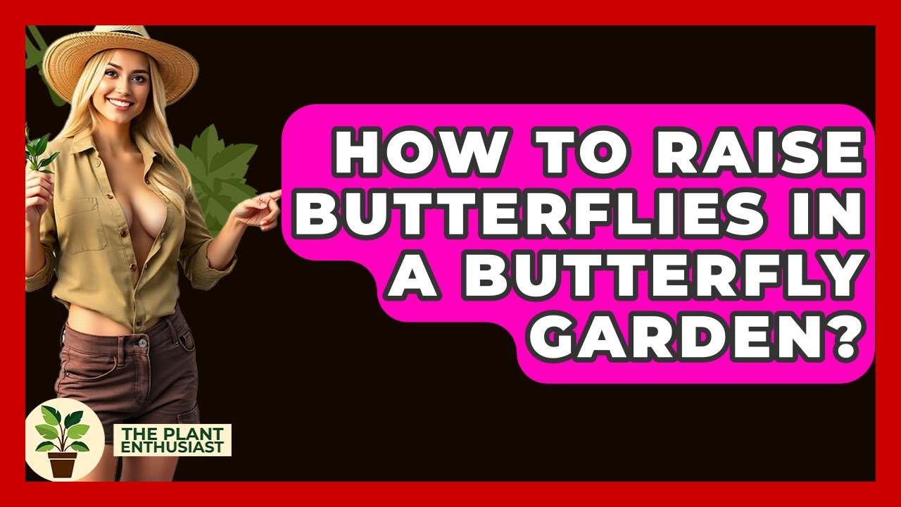 How To Raise Butterflies In A Butterfly Garden? - The Plant Enthusiast