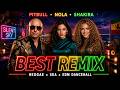 Pitbull x Shakira x Nola | SILENT SKY | Best Remix 2026 | Tropical Reggae Ska EDM Party Mix