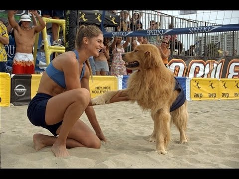 air-bud:-spikes-back-(2003)---movie-review
