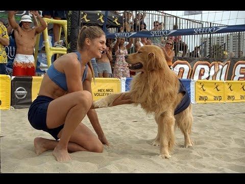 air-bud:-spikes-back-(2003)---movie-review