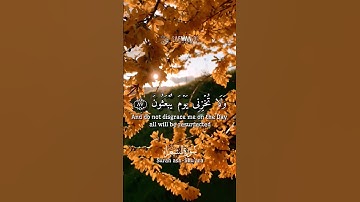 تلاوة خاشعة ❤️🎧 سورة الشعراء #اكسبلور #explore