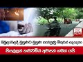 කිඹුලාවලදී|sin