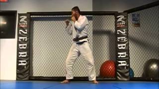 JiuJitsu en Español 2 como levantarse technical get up Ivan Menjivar
