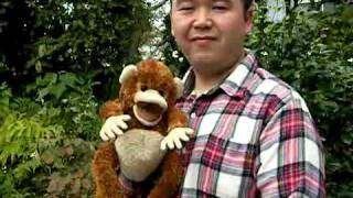 Folkmanis Long-legged Monkey Puppet