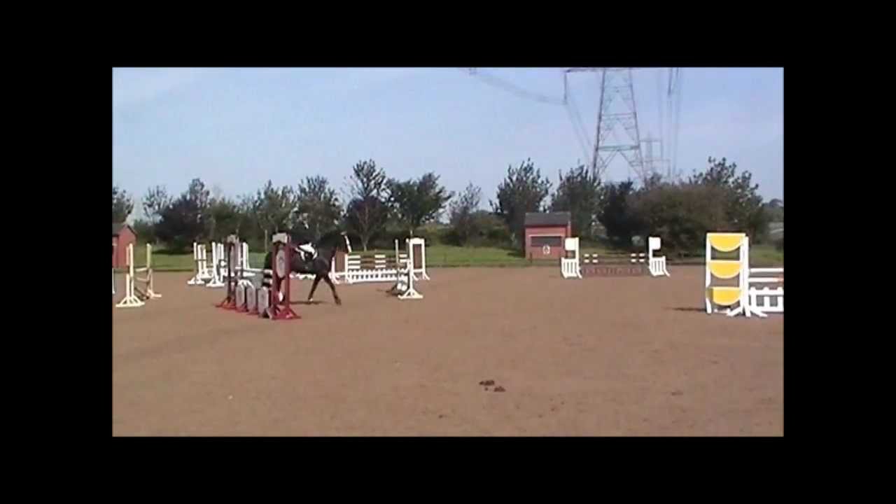 Castle Lodge Dee Dee Discovery One Meter Weston Lawns