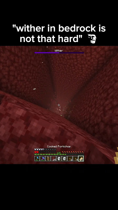 bedrock wither is scary 💀