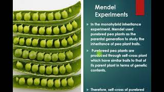 Celebrity Chapter 11 Inheritance Wealth