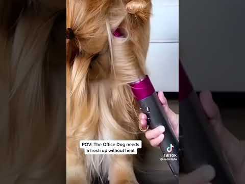 YouTube video poster