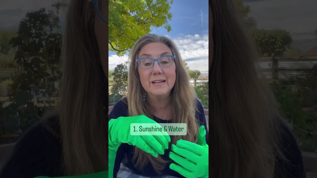 🍀 You Don’t Have a Green Thumb?