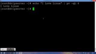 How to simulate typing effect in Linux terminal