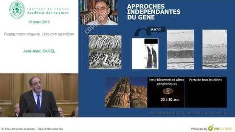 Conférence - JA  SAHEL - Restauration visuelle, l’ère des possibles - Académie des sciences