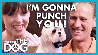 Victoria Upset with Owner for using SHOCK COLLAR😬 | It's Me or The Dog