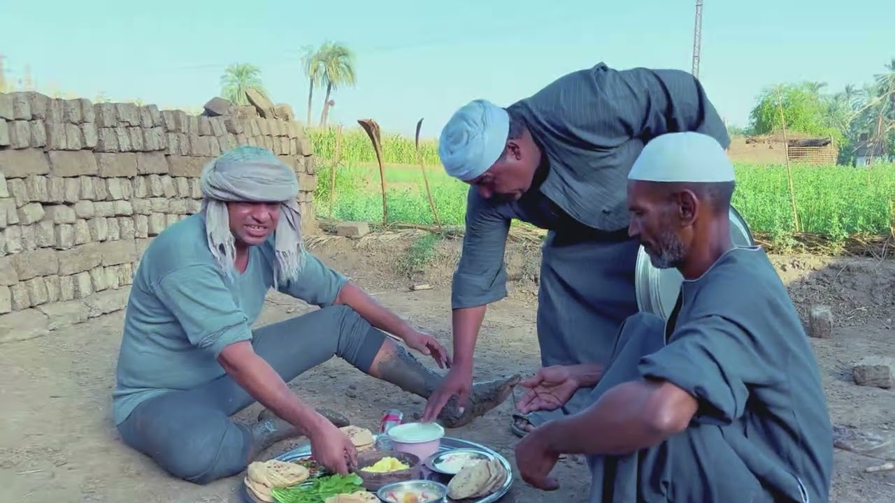 الحاج الضوى دفن عبدالناصر فى ملطم الطين 😂