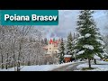 Snow In Poiana Brasov (Brassópojána,Schulerau),Transylvania