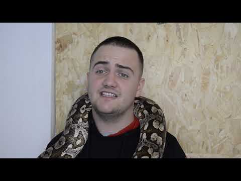 Black headed pythons