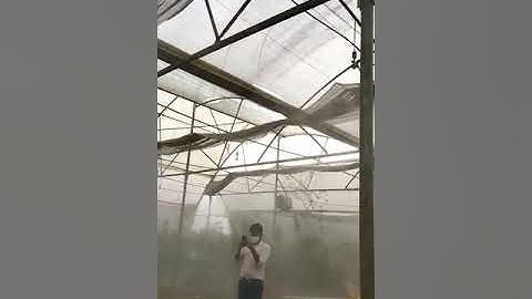 Poly house fogging system