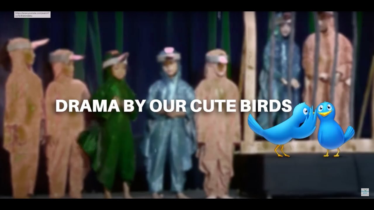 DRAMA BY OUR CUTE CHILDREN AS BIRDS