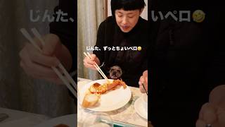 黒もしょ～ず、お正月休みとして伊豆に遊びに行く（Today's Instagram Stories 2026年1月9日）