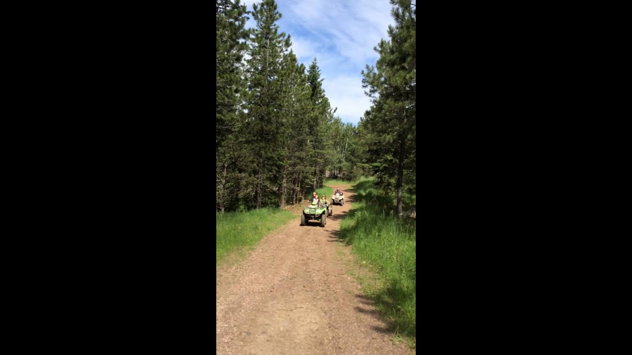 ATV Trails Black Hills Forrest YouTube