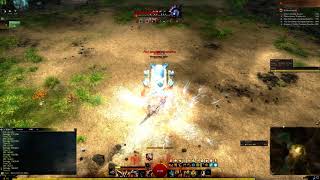 Guild Wars 2  - Berserker - Rotation example 1.1 (Axe/Axe, Greatsword) [Axe focused rotation]