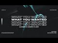 LANNÉ, Hawk & Leo - What You Wanted