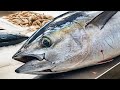 Fresh Yellowfintuna Cutting