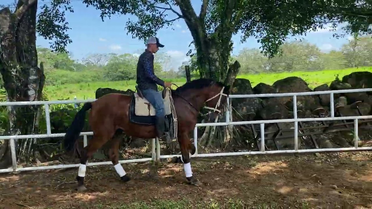 28 de febrero de 2026