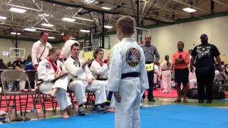 Tkd America 2013 Spring Regionals  Natasha Heddaeus  Junior Purple Belt  Form
