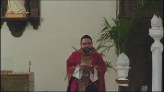 Santa Misa Domingo de Ramos “De la pasión del Señor” Santuario Ntra Sra de Guadalupe Sac CA 3/29 7am