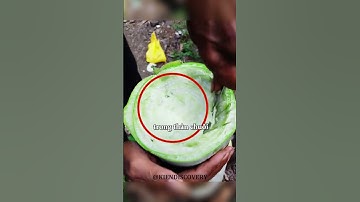 Anh chàng chặt đôi thân chuối để lấy nước uống #shorts