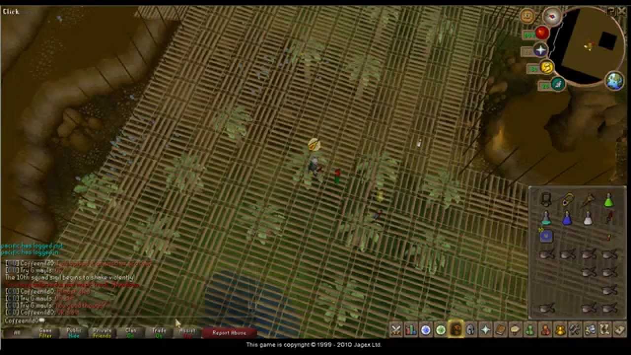 Monkey Madness Boss (Melee)