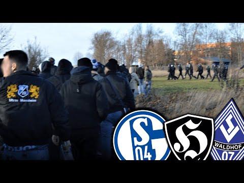 Als Mannheim die Schalker Gelsen-Szene weg-knallte...