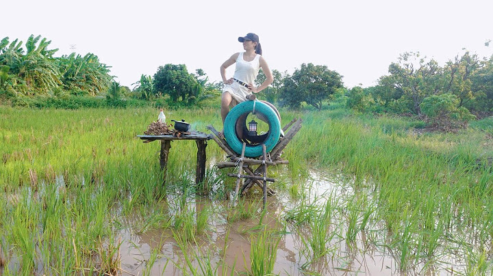 She Built a Survival Shelter Alone in the Flooded Rice Field – No Tools, No Help