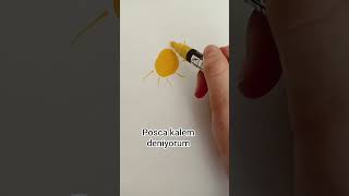 Posca deniyorum