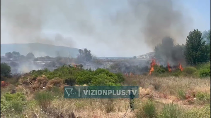 Zjarri përfshin pyllin e Sodës pranë plazhit të Zvërnecit, dyshohet zjarrvënie e qëllimshme