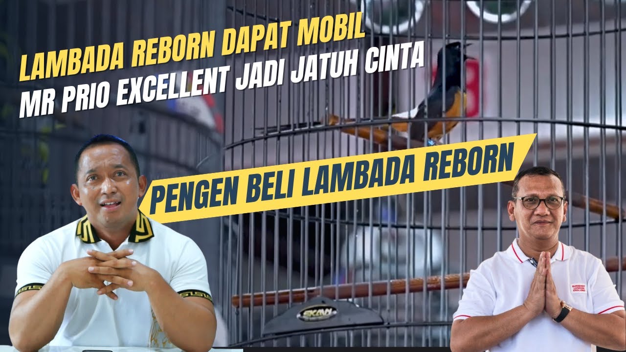 1,2 M? LAMBADA REBORN di Kejar Mr.Prio Excellent