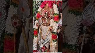 Om Shanmuga Saranam #mantras #kanthasastikavasam #murugan #viralshorts